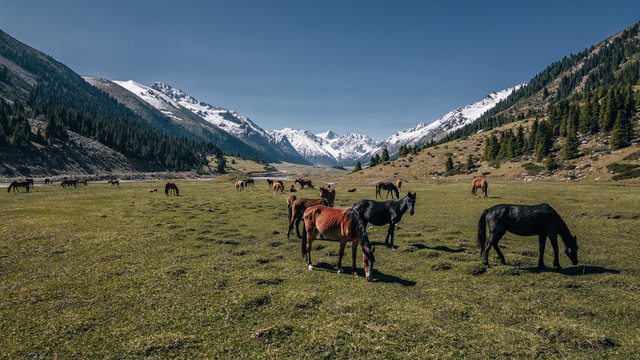 Travel photography — photo 11