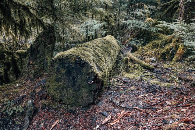 Travel photography — photo 23
