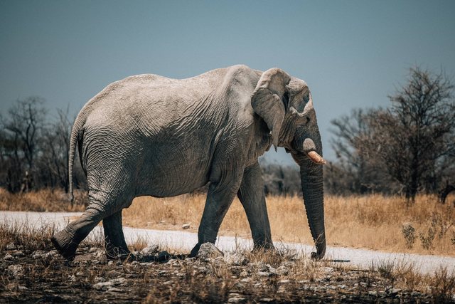 Travel photography — photo 18
