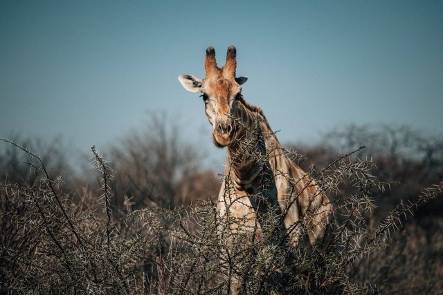 Travel photography — photo 22