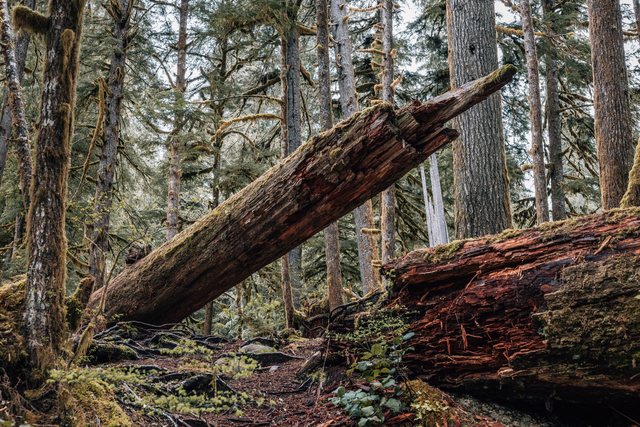 Travel photography — photo 24