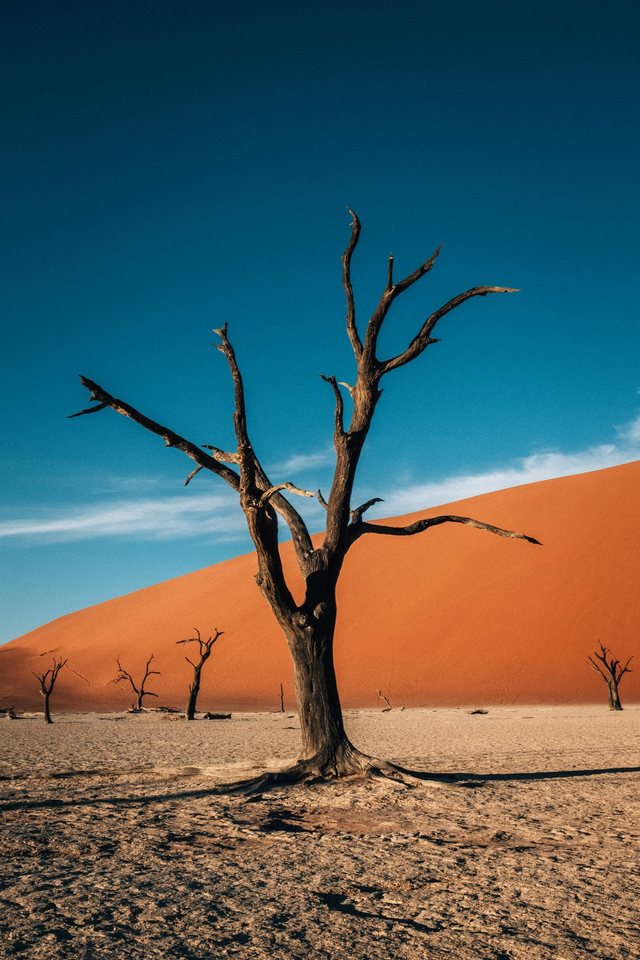 Travel photography — photo 1