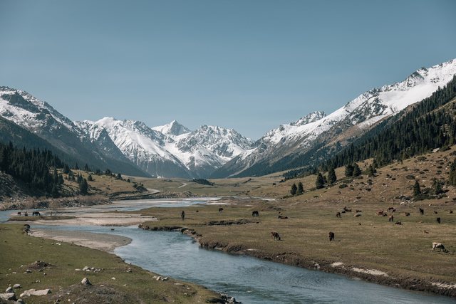 Kyrgyzstan — photo 50
