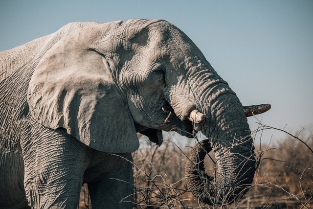 Namibia — photo 67