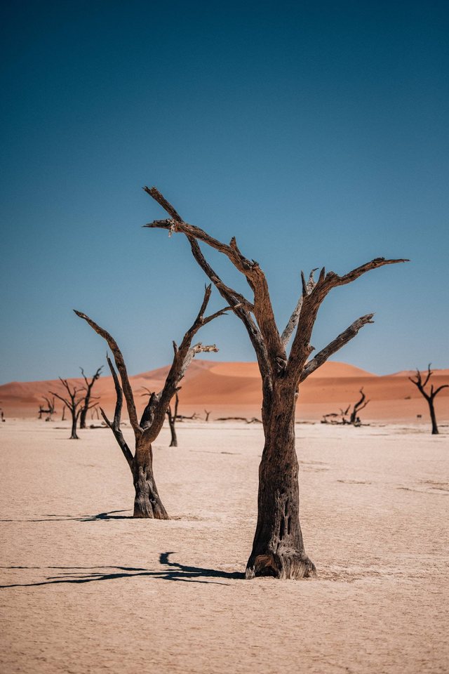 Namibia — photo 13