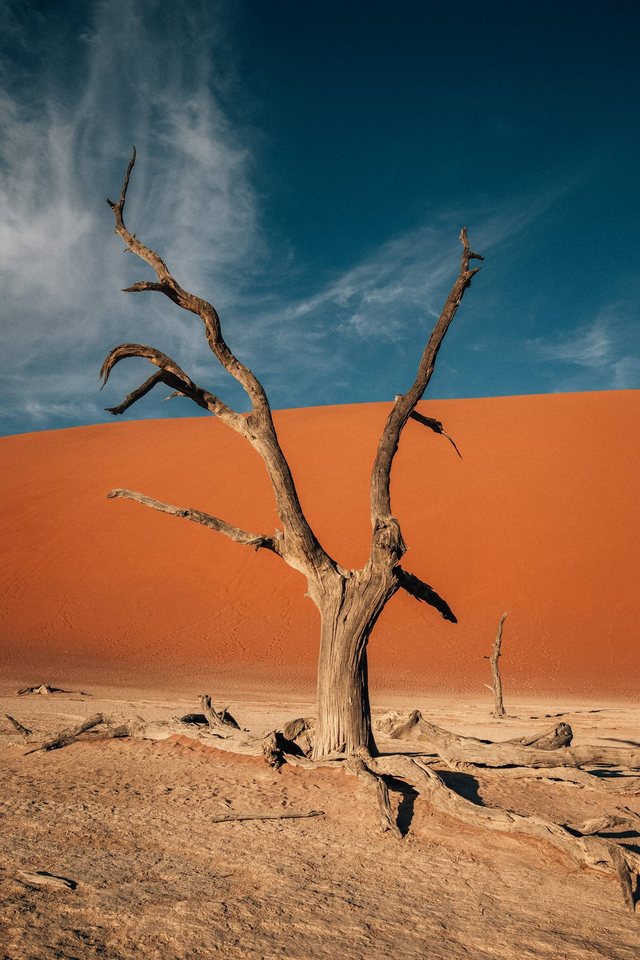 Namibia — photo 3