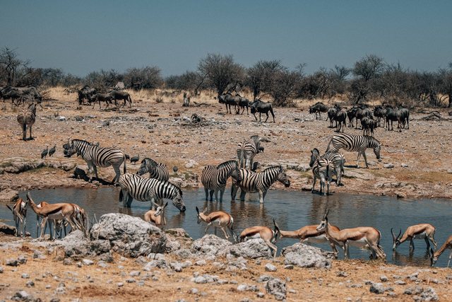 Namibia — photo 65