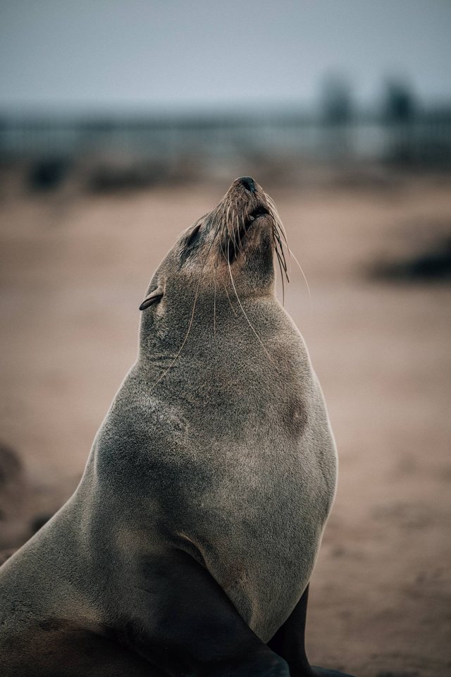 Namibia — photo 32