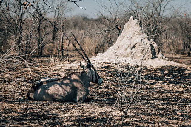 Namibia — photo 70