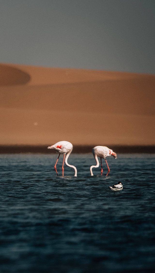 Namibia — photo 45