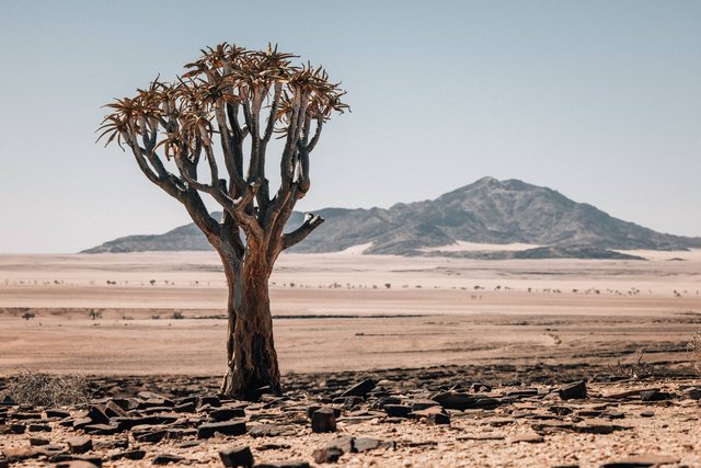 Namibia — photo 12