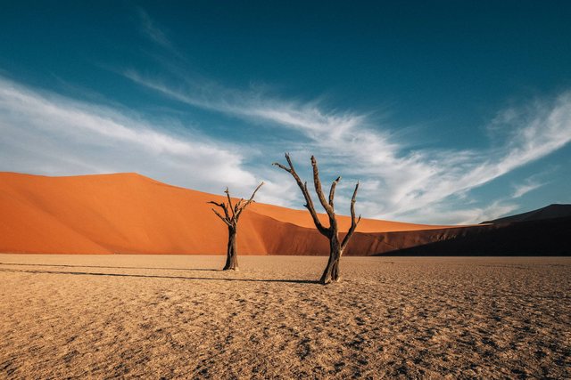 Namibia — photo 40