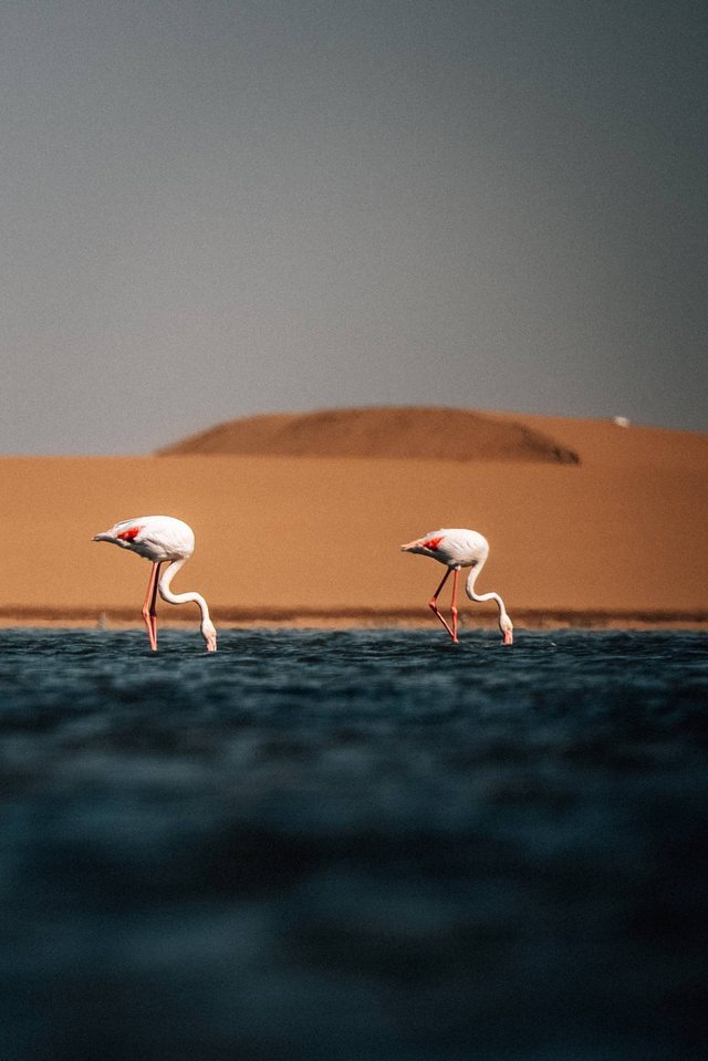 Namibia — photo 44