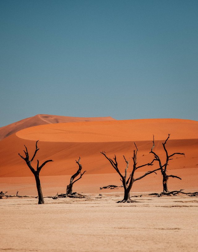Namibia — photo 21