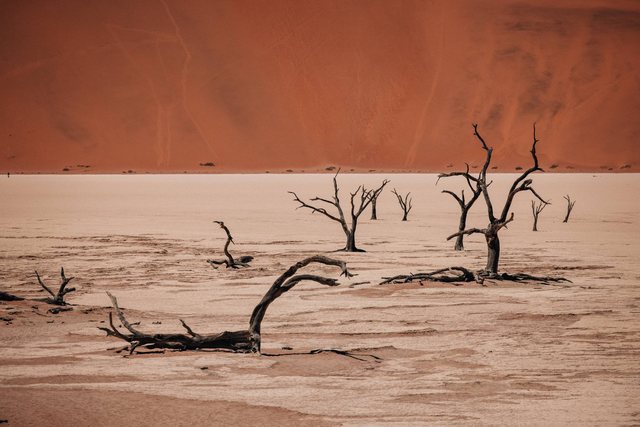 Namibia — photo 7