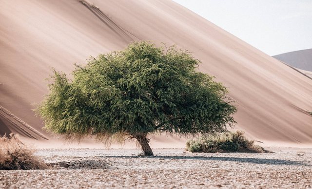 Namibia — photo 25