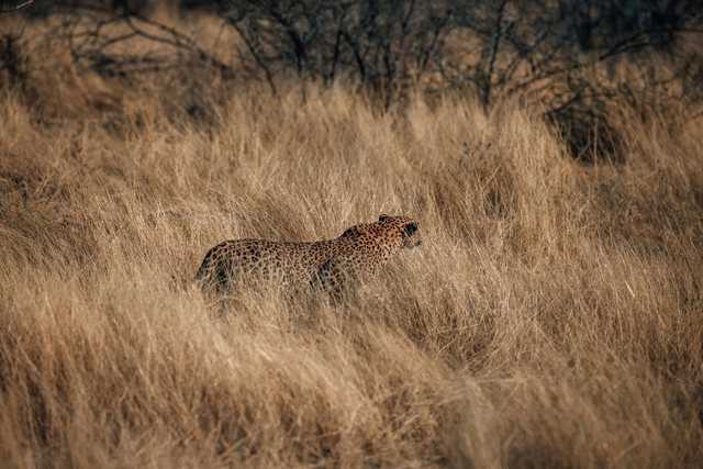 Namibia — photo 54