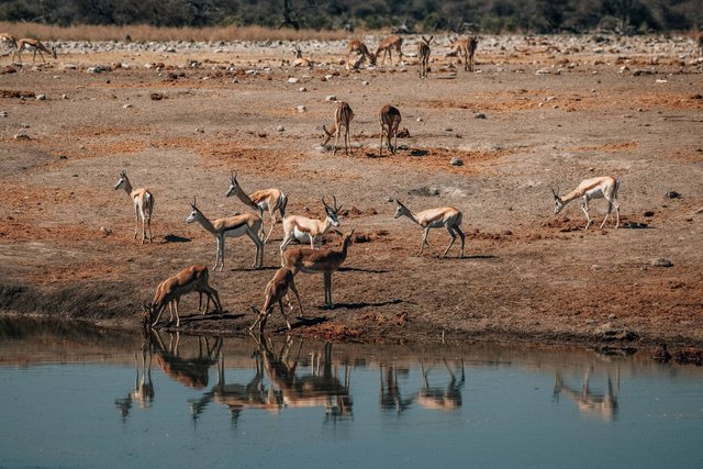Namibia — photo 56