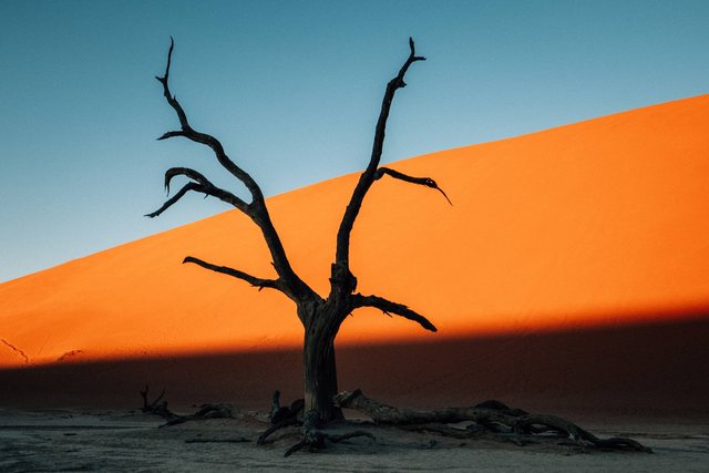 Namibia — photo 1