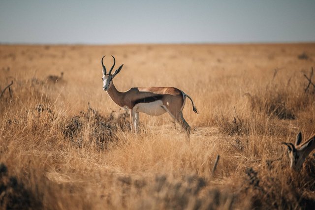 Namibia — photo 69
