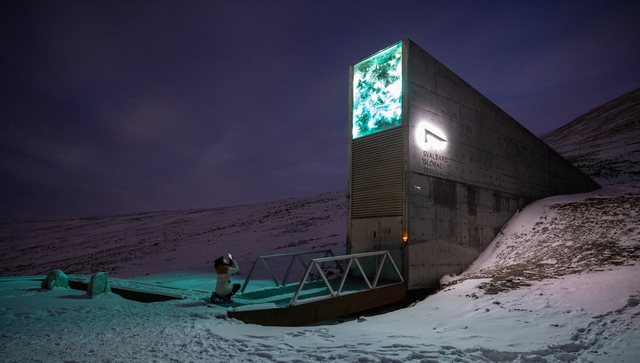 Svalbard — photo 4